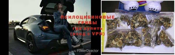 MDMA Беломорск