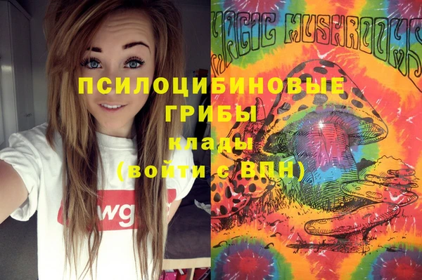 марки nbome Белокуриха