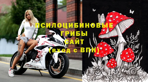марки nbome Белокуриха